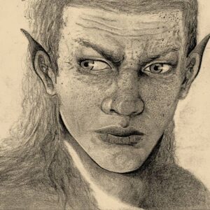 Elven Warrior (Canvas Print)