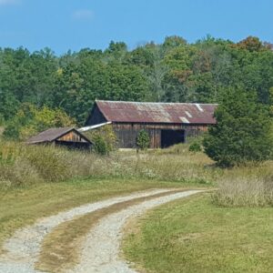 Path to Old