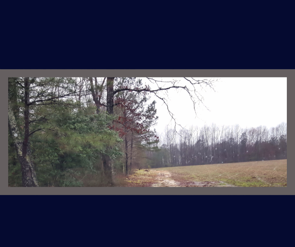Path to Serenity - Image 2