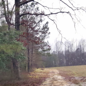 Path to Serenity