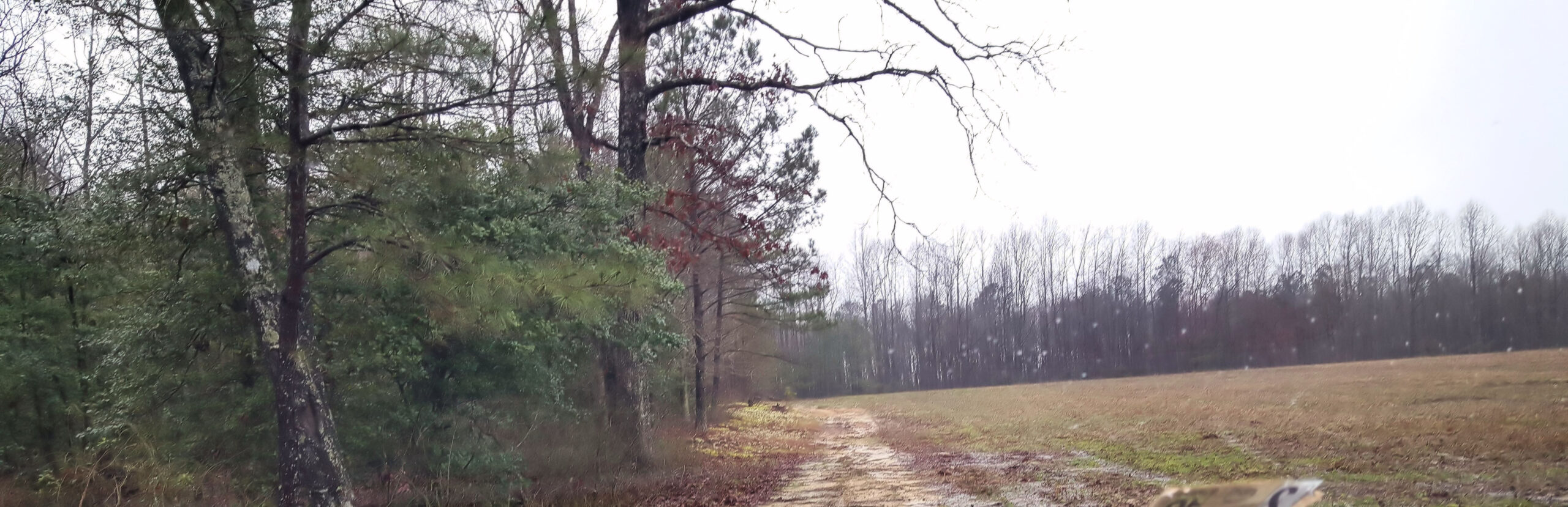 Path to Serenity