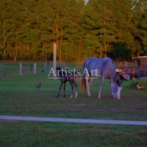 Close (Digital Downloads)