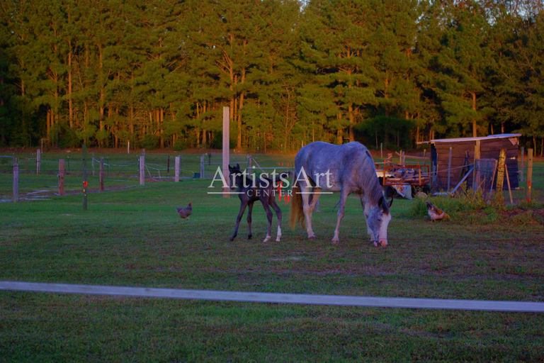 Close (Digital Downloads)