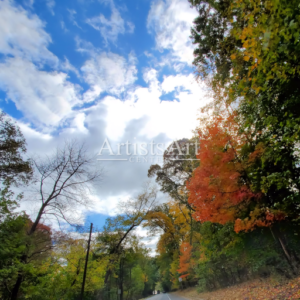 Colors Blast (Digital Downloads)