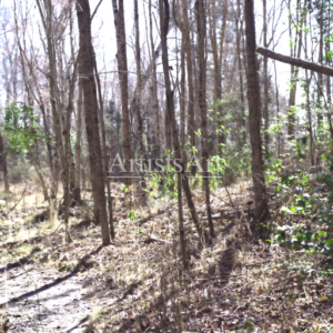 Follow the Creek (Digital Downloads)