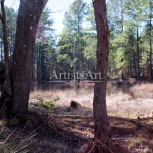 Hidden Oak Pond (Digital Downloads)