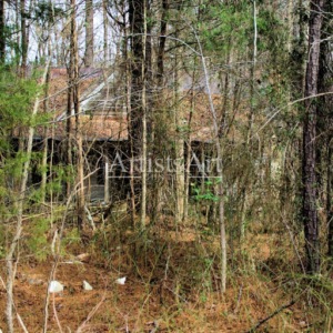 Life Loss (Digital Downloads)