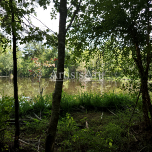 Pond (Digital Downloads)