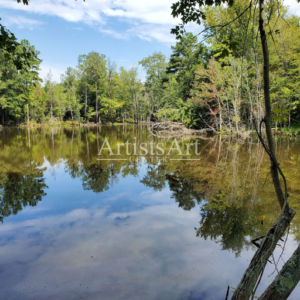 Pondering (Digital Downloads)