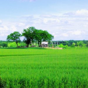 Small & Alone (Digital Downloads)