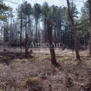 Standing Guard (Digital Downloads)