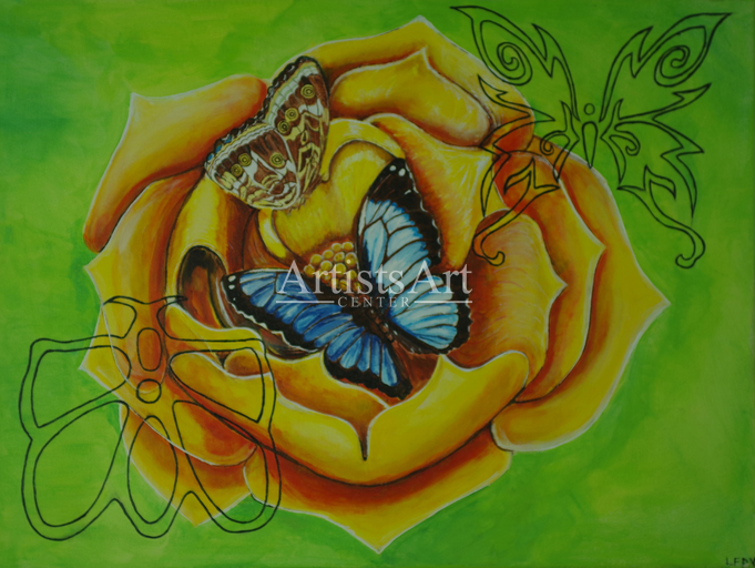 Transformation (Digital Downloads)