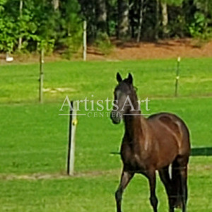 Soft Tip (Digital Downloads)