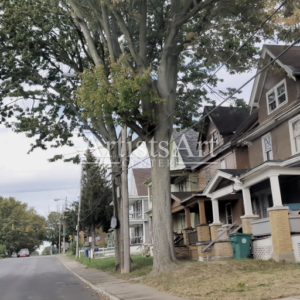 Apex Underneath (Digital Downloads)