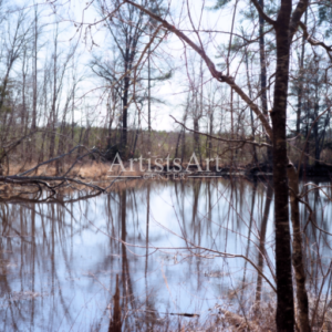 Beaver's Paradice (Digital Downloads)