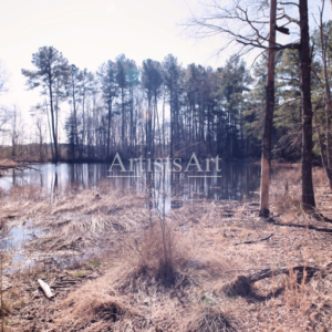 BlueSky Reflections (Digital Downloads)