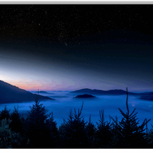 Alt Text: Fine art photo of a fog-covered Christmas tree farm at dawn under a starry mountain sky.