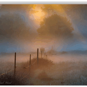 Fine art landscape photo of a sunrise shining through fog over a meadow with fence posts.
