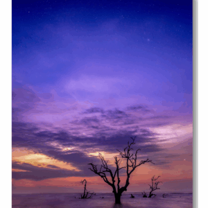 A vivid sunrise at Hunting Island State Park with stars fading into purple, pink, and orange skies, silhouetted by driftwood trees in the ocean.