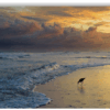 Photograph of a beach sunset with storm clouds, waves, and a shorebird along the shoreline.