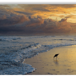 Photograph of a beach sunset with storm clouds, waves, and a shorebird along the shoreline.