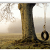 Photograph of a tire swing hanging from a large tree in a foggy sunrise field.