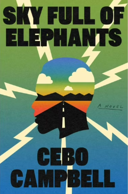 A Sky Full of Elephants by Cebo Campbell (November's pick chosen by Tavonyia T.)